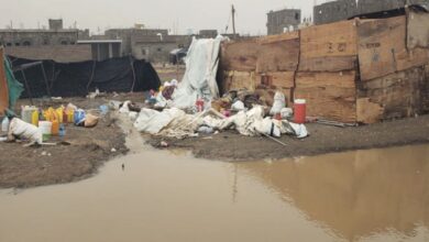 14 displaced die, injured and over 7,000 shelters damaged in Marib due to heavy rains.