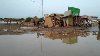 Gov report: 1,759 displaced families in Hadramout, Shabwa, Abyan affected by heavy rains, floods.