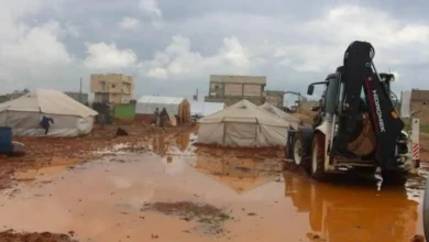 Government report: Over 12,000 displaced families in Marib affected by floodwaters.