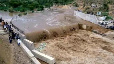 Heavy rains and floods in Dhamar cause significant damage.