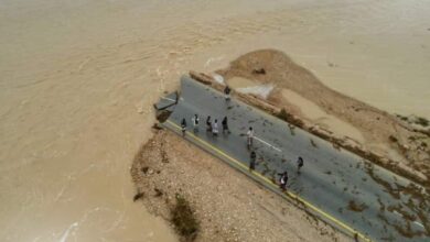 Meteorological forecasts predict continued thunderstorms and strong winds affecting our country over the next 48 hours.