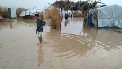 Report: Around 2,000 displaced families affected by rain and floods in Hajjah province.