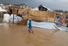 Urgent Call for Aid to Support Hundreds of Displaced Families in Northwest Hajjah Launched by Executive Unit.