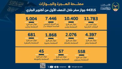 The Immigration and Passport Authority issued 44,315 passports in the first half of October.