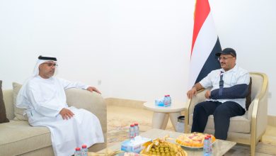 Tariq Saleh discusses the latest developments with the UAE ambassador.