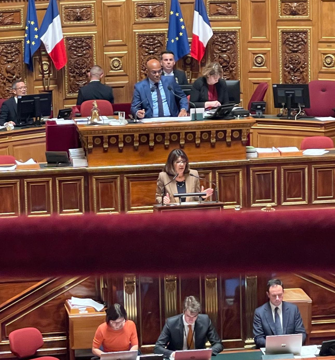 The French Senate condemns the destructive acts of the Houthi militia in the Red Sea.