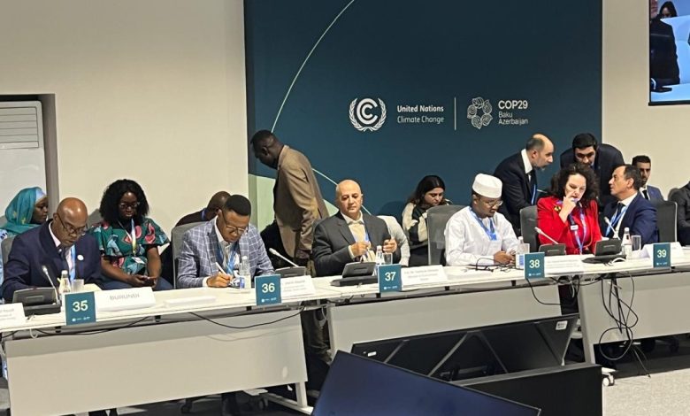 The Minister of Water and Environment participates in a high-level session on climate change.