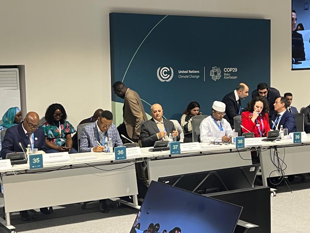 The Minister of Water and Environment participates in a high-level session on climate change.