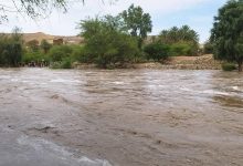 The meteorological authority warns Yemen of scattered rains and a light to moderate cooling wave.