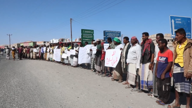 The Hadhramaut Tribes Alliance welcomes the Leadership Council's plan to normalize conditions in the governorate.