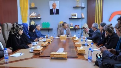 Meeting discusses efforts to enhance stability and improve services in Aden.