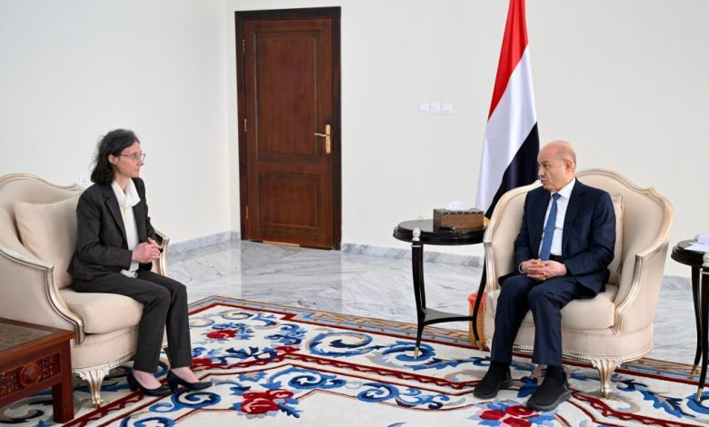 The Chairman of the Presidential Leadership Council reaffirms the importance of international support for punitive measures against terrorist militias.