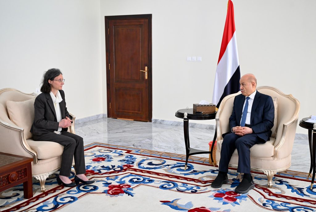 The Chairman of the Presidential Leadership Council reaffirms the importance of international support for punitive measures against terrorist militias.