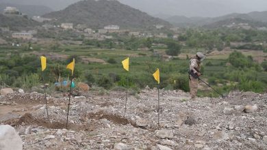 The "Masam" project has cleared 51 minefields in Al-Dhale, planted by Houthi terrorist militias.