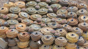 In the first week of April, the Masam project successfully removed 543 Houthi landmines.