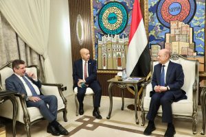 The Chairman of the Leadership Council receives the Ambassador of the United States.