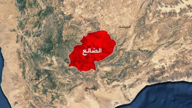 A woman was injured by sniper fire from Houthi militia in western Al-Dhale.