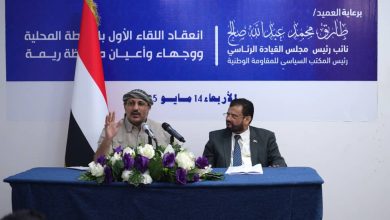 Council member Tariq Saleh meets with Rima's leaders, asserting Iran halted the Houthis in the Red Sea, unaware of Abdulmalik's actions.