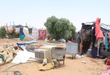Government report: Over 6,000 displaced families in Marib seek refuge in camps due to economic conditions.