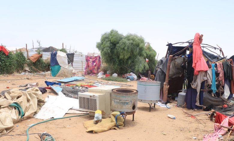 Government report: Over 6,000 displaced families in Marib seek refuge in camps due to economic conditions.