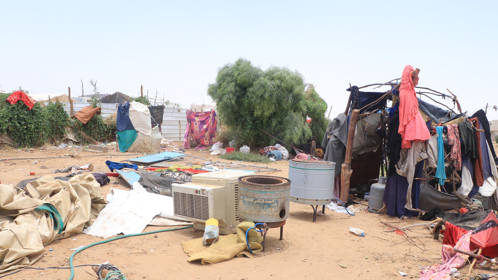 Government report: Over 6,000 displaced families in Marib seek refuge in camps due to economic conditions.