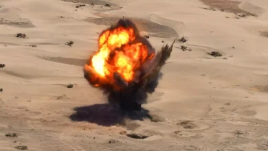 "Masam" has destroyed 3,036 landmines and munitions in the Bab al-Mandab region.