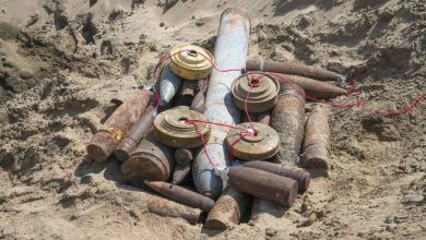"Masam" has removed 1,095 landmines in Yemen over the past week, planted by Houthi terrorist militias.