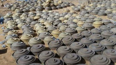 Masam has removed over 5,700 landmines and munitions planted by Houthi militias since the beginning of May.