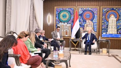 The Chairman of the Leadership Council received the Deputy Secretary-General of the European Union.