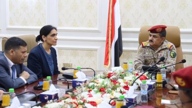 The Defense Minister meets with the UK Ambassador in Aden to discuss bilateral relations and security cooperation.