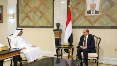 The Foreign Minister discusses coordinating positions on mutual interests with the UAE ambassador.