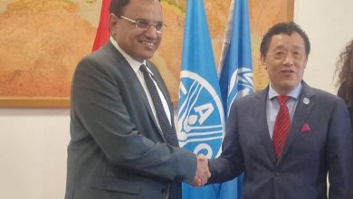 The Minister of Agriculture, Irrigation, and Fisheries discusses strengthening bilateral cooperation with the FAO Director.