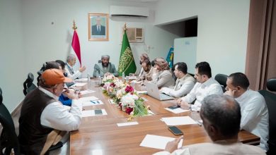 The Minister of Awqaf and Guidance emphasizes the need to mobilize all efforts to serve the pilgrims effectively.