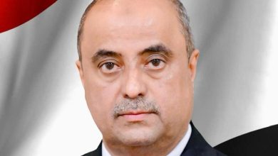 The Prime Minister receives a message from the Secretary-General of the Gulf Cooperation Council.
