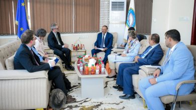 The Transport Minister discusses collaboration with the EU ambassadorial mission to support transportation sectors.