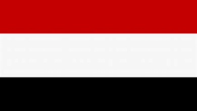 Yemen emphasizes the need for a comprehensive international strategy to protect maritime navigation from Houthi attacks.