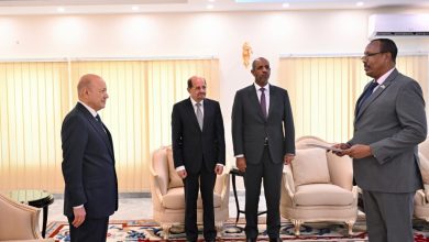 The Chairman of the Leadership Council receives the credentials of the Ambassador of the Federal Republic of Somalia.