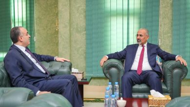 Council member Al-Zubaidi emphasizes the need to regulate revenue processes and ensure resource deposits to the central bank.