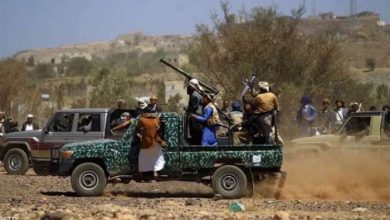 Human rights network reports that Houthi militias have arrested and kidnapped 83 civilians in Ibb governorate over five months.