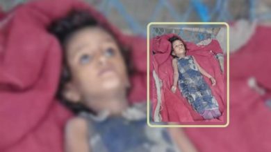 Humanitarian tragedy in Hajjah: A child and an elderly woman die of starvation amid Houthi restrictions on aid.