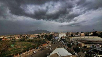 Meteorological report: Extreme heat expected in coastal and desert areas, with thunderstorms forecasted for mountainous regions.