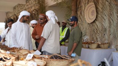 Socotra celebrates palm heritage at the first date festival in Hadibo, showcasing local traditions and agricultural pride.