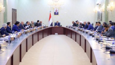 The Cabinet discusses current developments and service conditions, reviewing a report from the Central Bank.