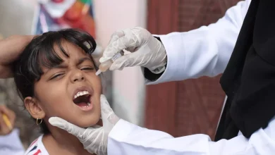 The Health Office in Marib announces a successful polio vaccination campaign, achieving a 105% coverage rate in the province.