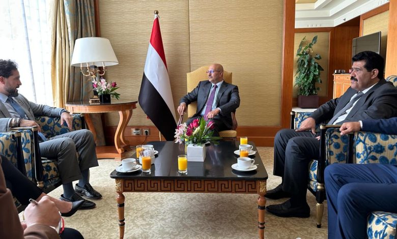 Council member Tariq Saleh discusses efforts to combat Iranian arms smuggling with the U.S. chargé d'affaires.