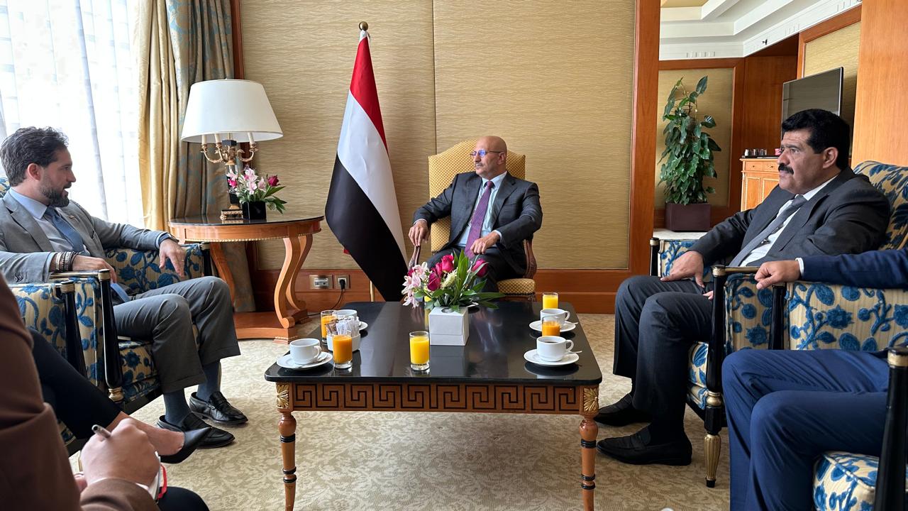 Council member Tariq Saleh discusses efforts to combat Iranian arms smuggling with the U.S. chargé d'affaires.