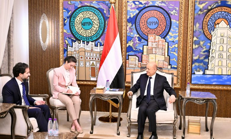 The Chairman of the Leadership Council emphasizes the importance of international support to strengthen comprehensive reform efforts.