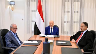 The Chairman of the Leadership Council reaffirms the state's commitment to addressing the legitimate demands of Hadramaut residents.