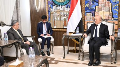 The Chairman of the Leadership Council reviews bilateral cooperation programs with the Republic of India.