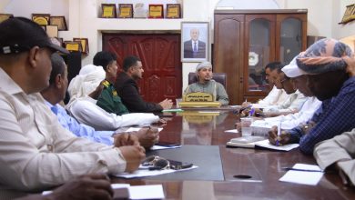 The Executive Office in Socotra discusses enhancing administrative performance and organizing public services.